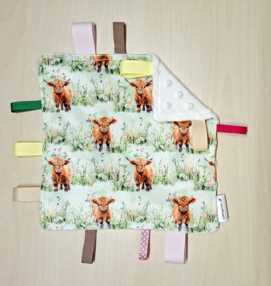 Craquante Vache highland dans les champs