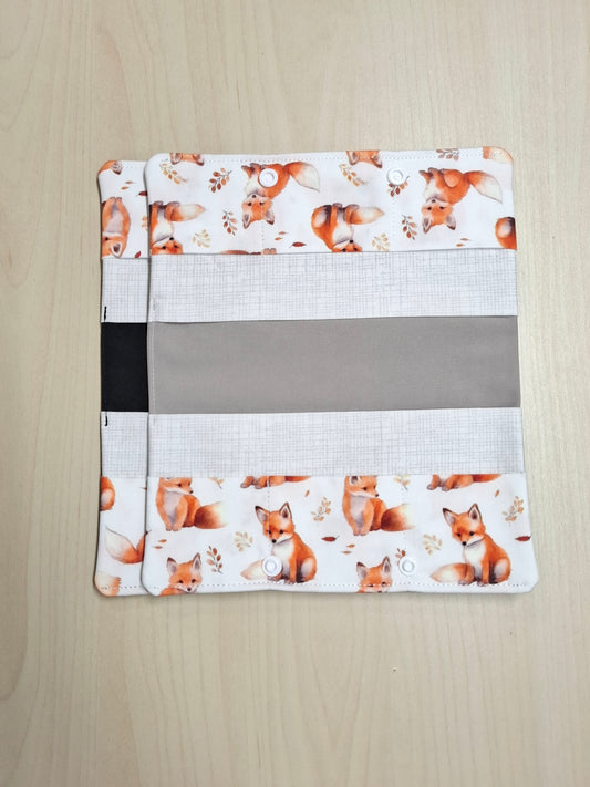 Carnet Renards aquarelle