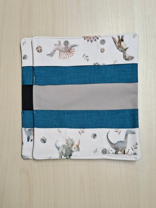 Carnet Histoire de dinosaures