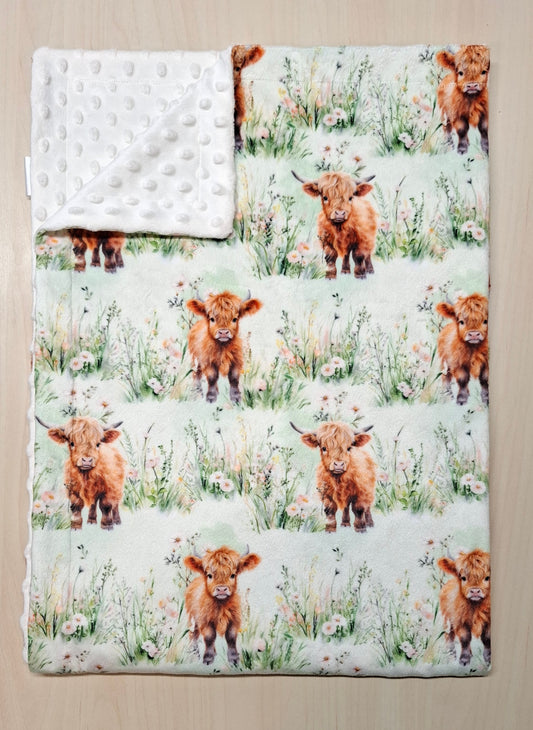 Couverture Vaches highland dans le champs