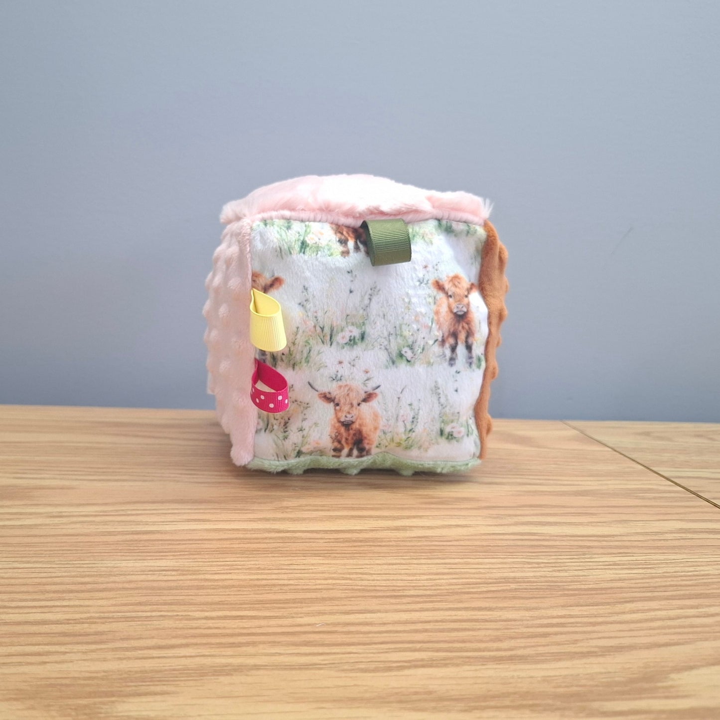 Cube Vache highland dans les champs