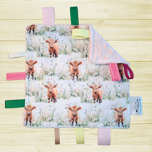 Craquante Vache highland dans les champs