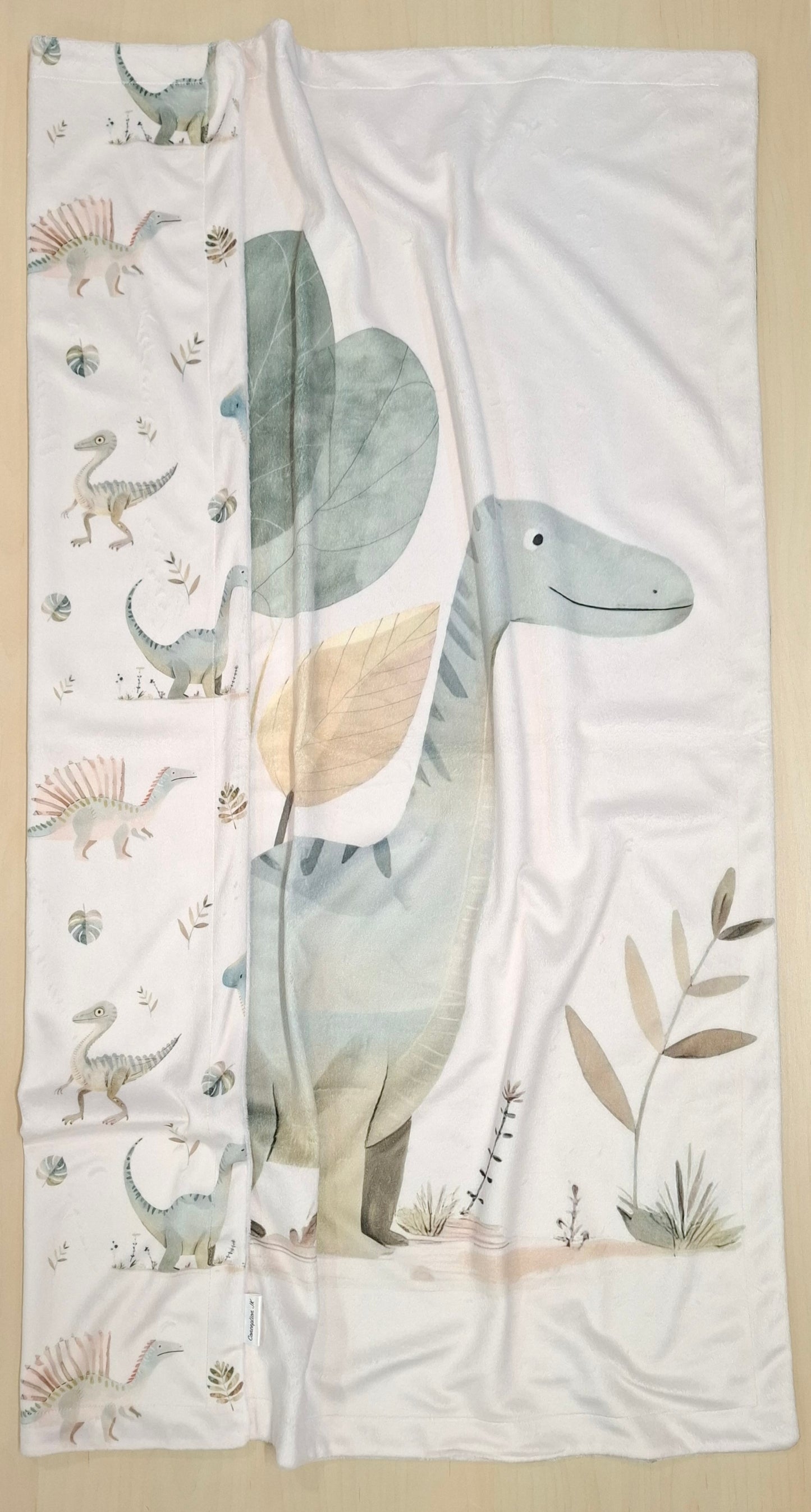 Couverture panneau Histoire de dinosaures