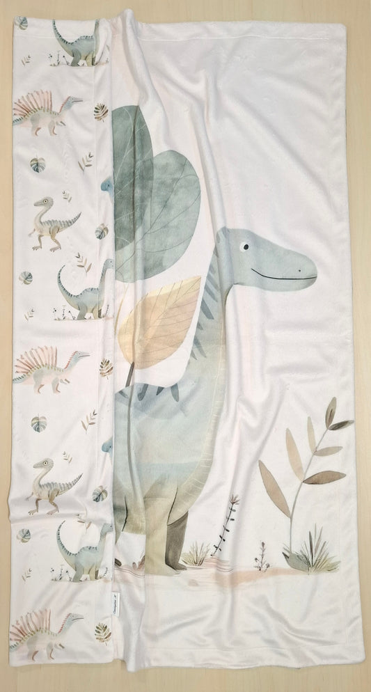 Couverture panneau Histoire de dinosaures