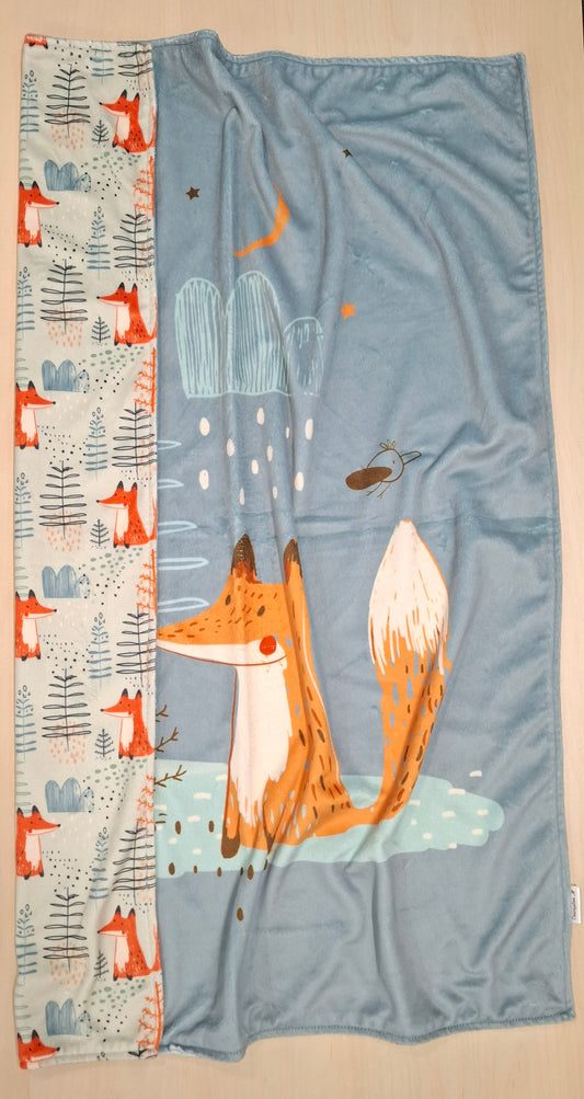 Couverture panneau Renards vagabonds