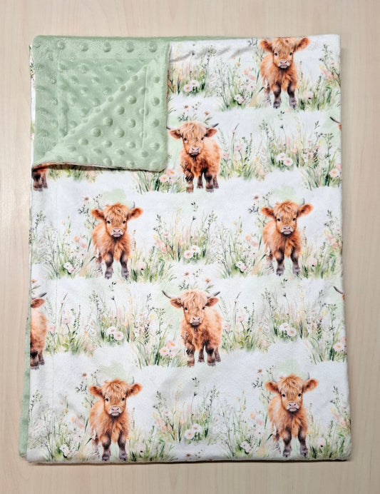 Couverture Vaches highland dans le champs