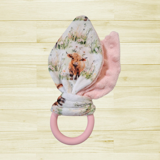 Oreille de lapin Vaches highlands dans les champs