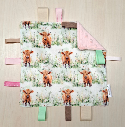 Craquante Vache highland dans les champs