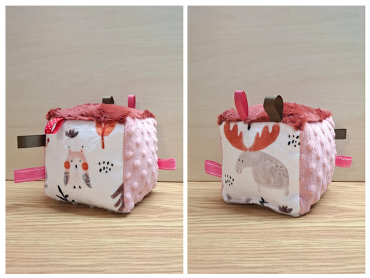 Cube Hiboux dans la forêt