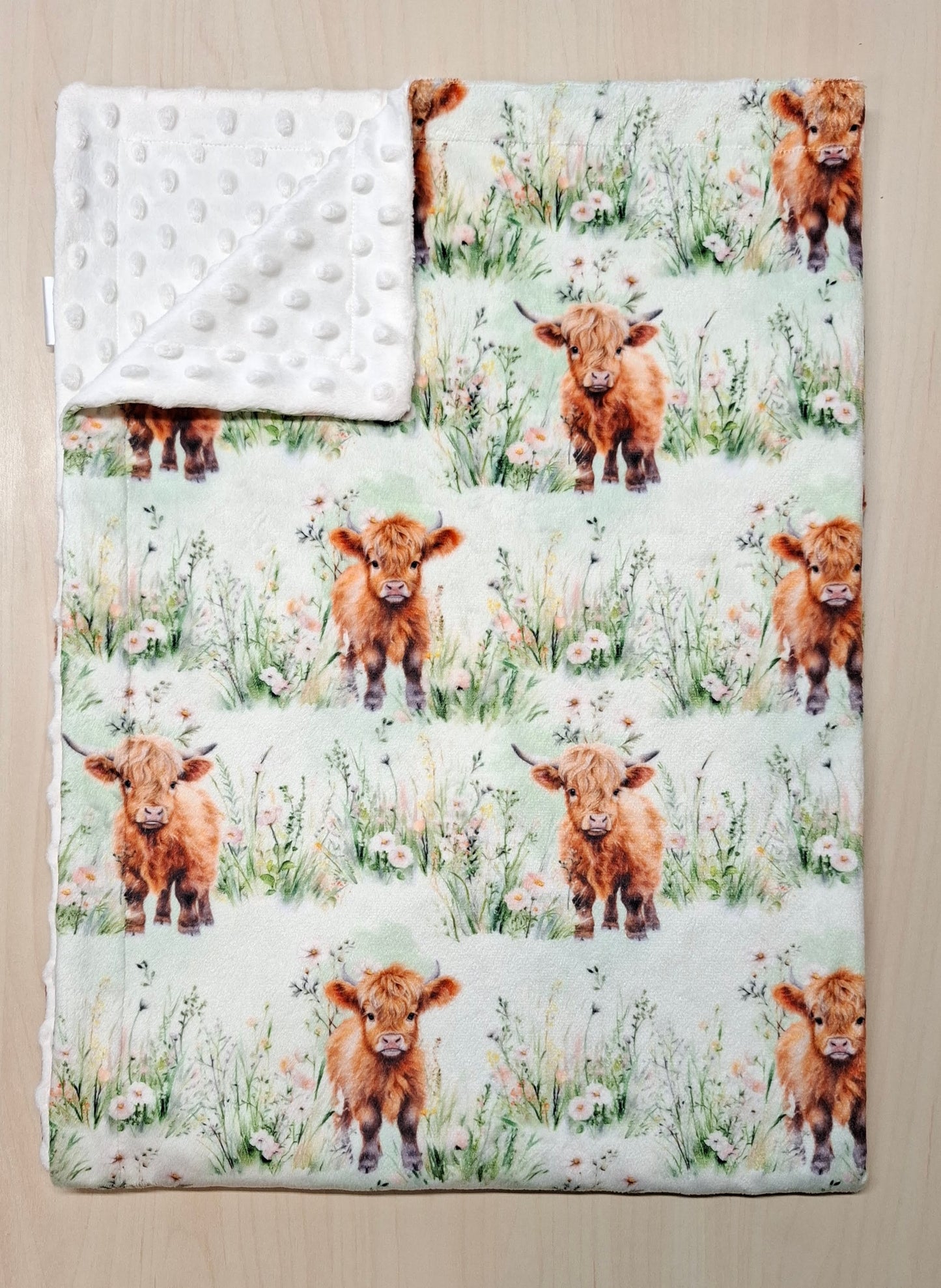 Couverture Vaches highland dans le champs